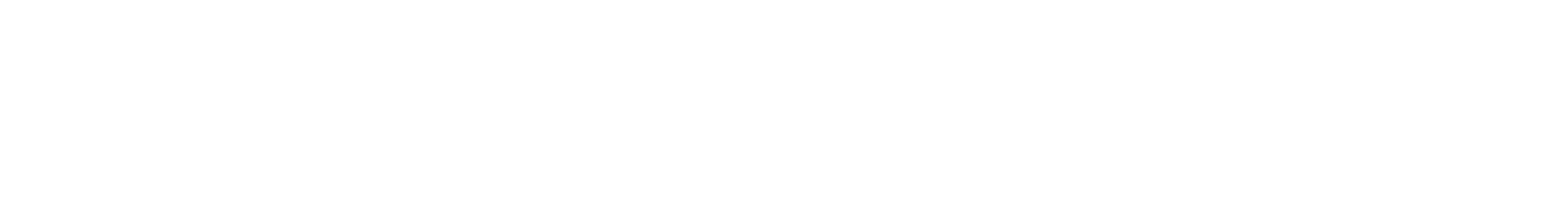 Dolphin House Srl